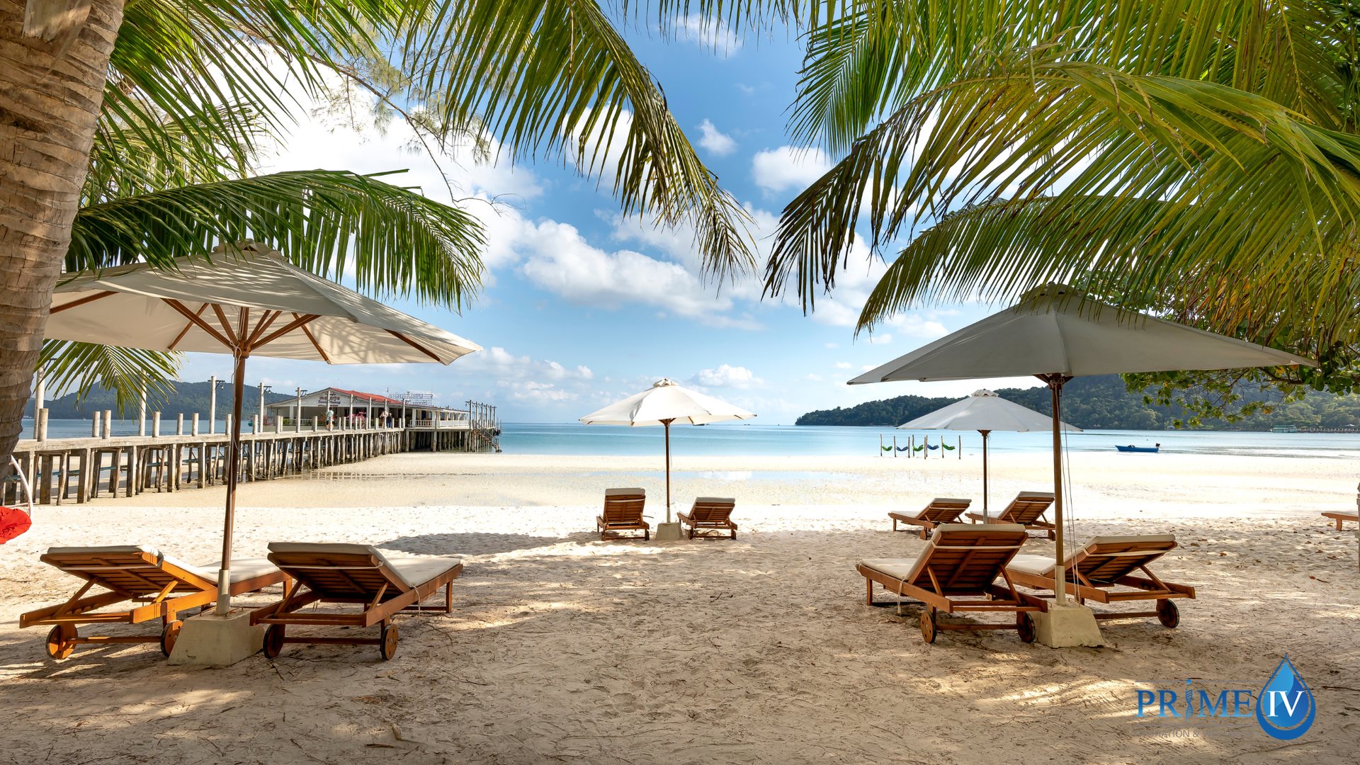 Beach lounge chairs and umbrellas under palm trees on a sunny tropical shore